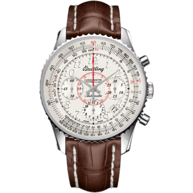 Montbrillant 01 Stainless Steel / Mercury Silver / Croco