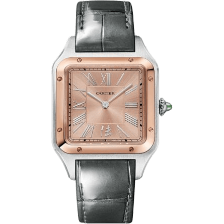 Cartier Santos Dumont 31.4 China W2SA0027