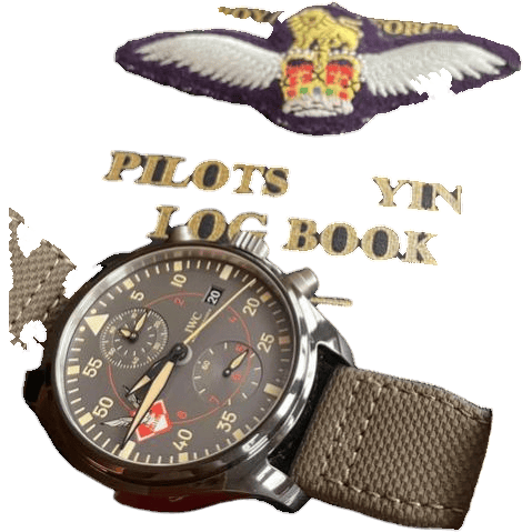 Pilot’s Watch Chronograph Military Edition 663 DSA