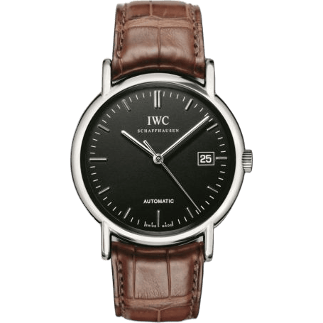 Portofino Automatic / Stainless Steel / Black / Strap