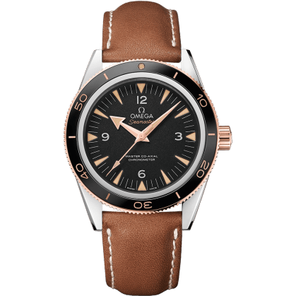 Seamaster 300 Master Co-Axial Steel Stainless Steel / Sedna Gold / Strap