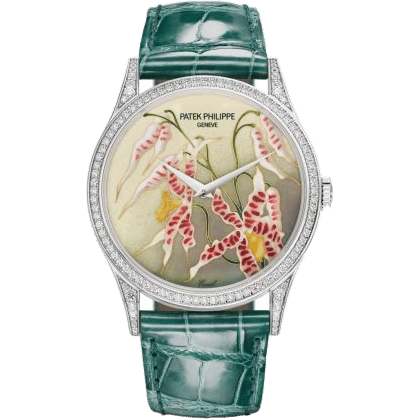 Calatrava 5077 White Gold / Diamond / Orchids