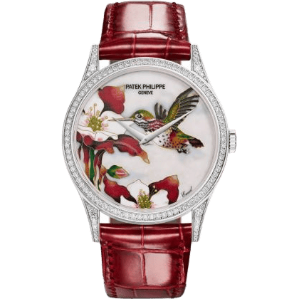 Calatrava 5077 White Gold / Diamond / Hummingbirds