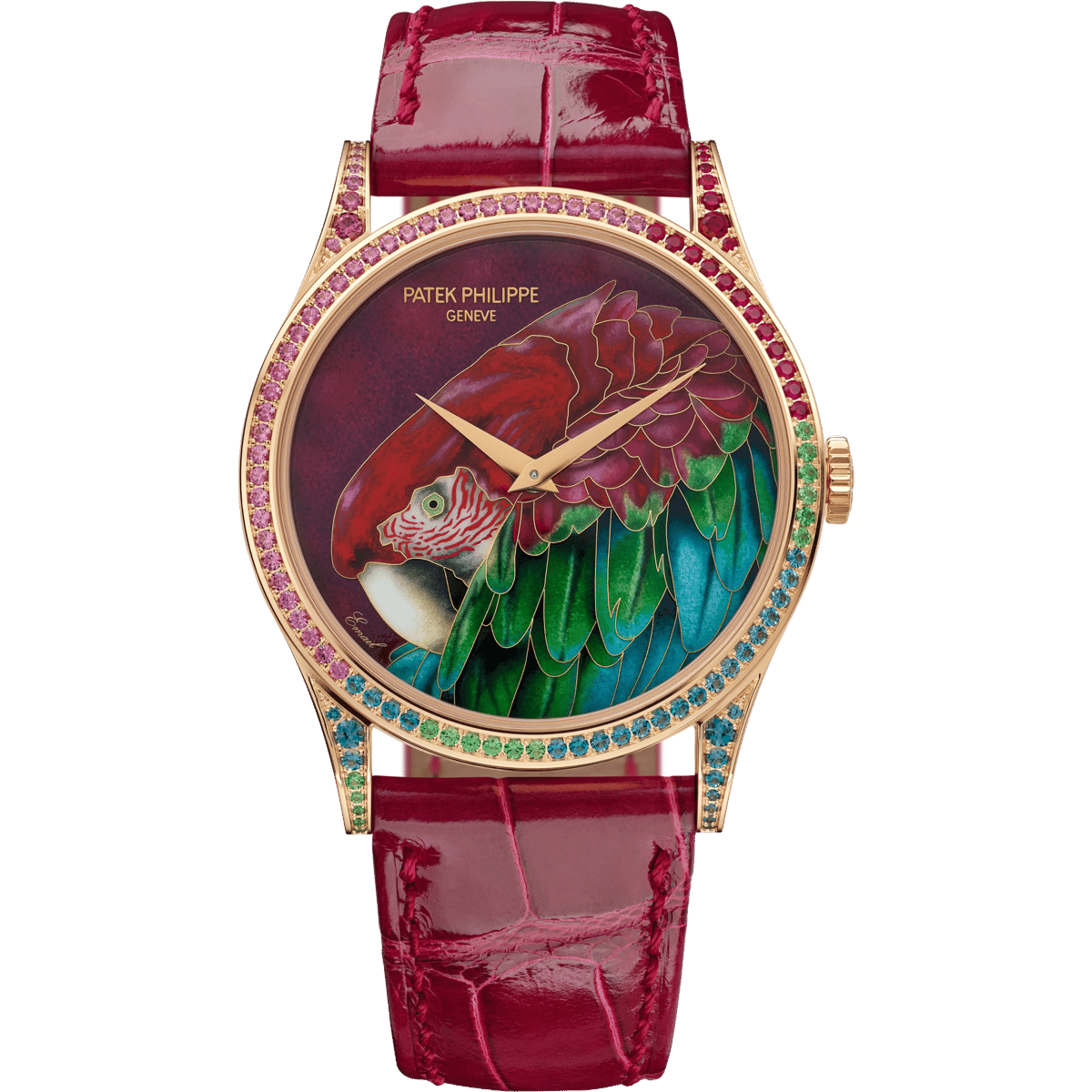 Patek Philippe Calatrava 5077 Rose Gold / Green-Winged Macaw 5077/211R-001
