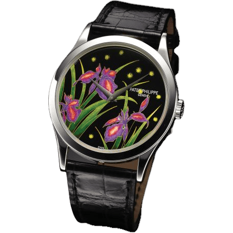 Calatrava 5077 Iris
