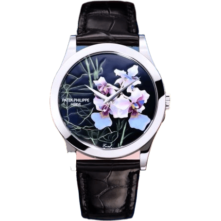 Calatrava 5089 Whit e Gold / Orchids