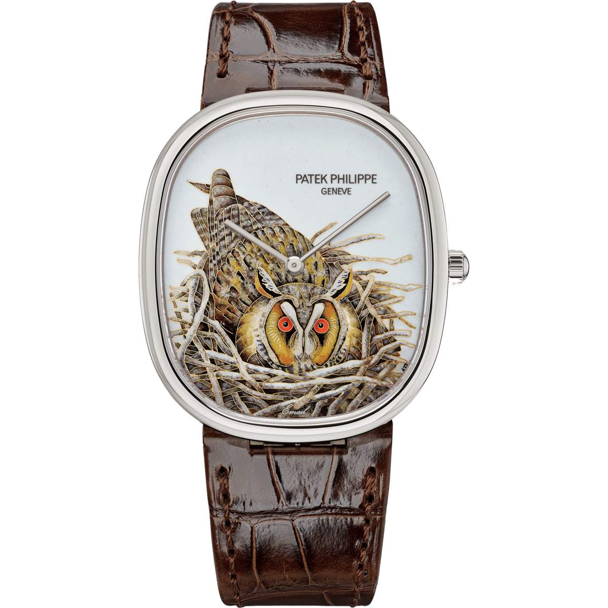 Patek Philippe Golden Ellipse 5738 White Gold / Brown Owl 5738/50G-049