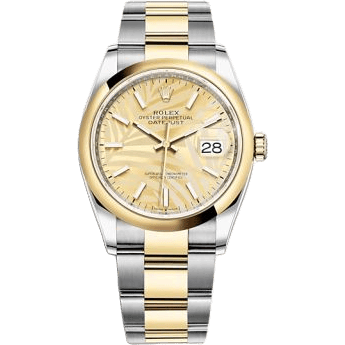 Rolex Datejust 36 Stainless Steel / Yellow Gold / Smooth / Golden Palm / Oyster 126203-0038