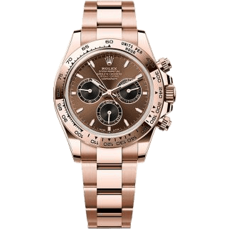 Cosmograph Daytona Everose / Chocolate / Oyster