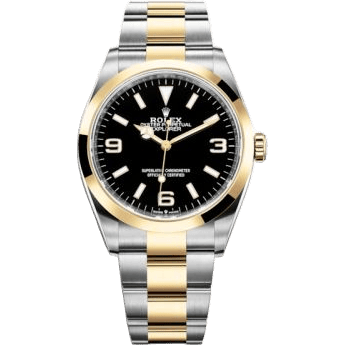 Explorer 36 Stainless Steel / Yellow Gold