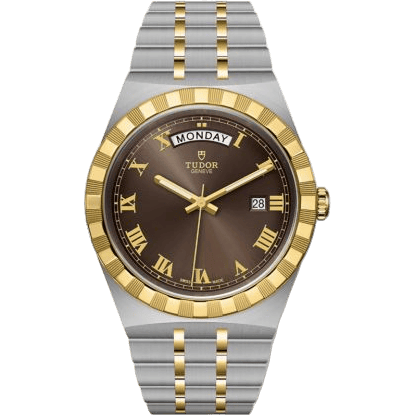 Royal Day-Date 41 Stainless Steel / Yellow Gold / Chocolate - Roman