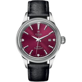 Style 28 Stainless Steel / Burgundy-Diamond / Strap
