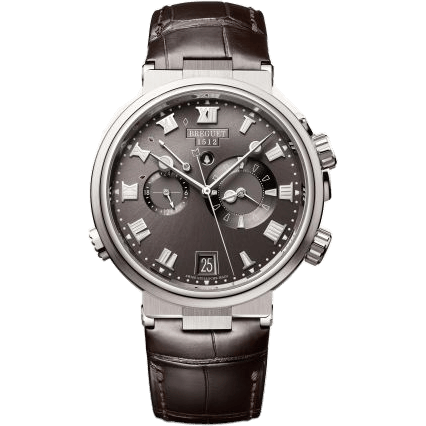 Marine Alarme Musicale Titanium / Grey / Alligator