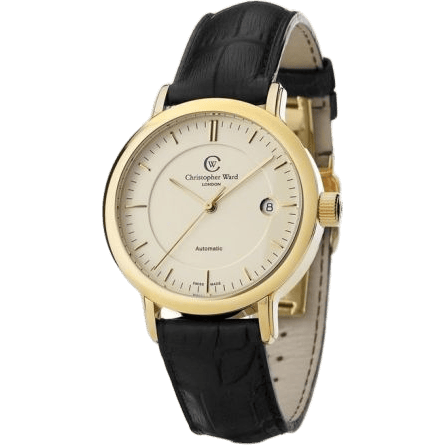 Malvern C5 MK1 Stainless Steel / Silver / Strap