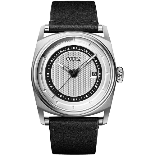 Anomaly-02 Stainless Steel / Silver