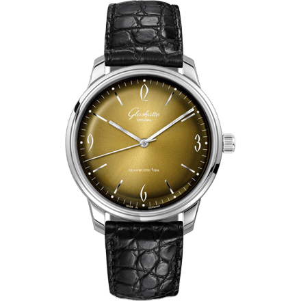 Sixties Stainless Steel / Iconic Golden / Alligator