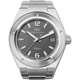 Ingenieur Automatic Stainless Steel / Collector's Edition