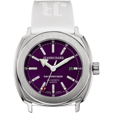 Terrascope Stainless Steel / Purple