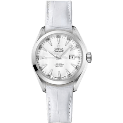 Seamaster Aqua Terra 150M Co-Axial 34 Stainless Steel / Silver