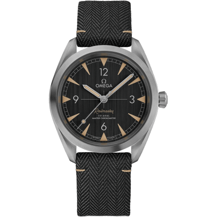Railmaster Omega Co-Axial Master Chronometer 40 Stainless Steel / Grey / Strap