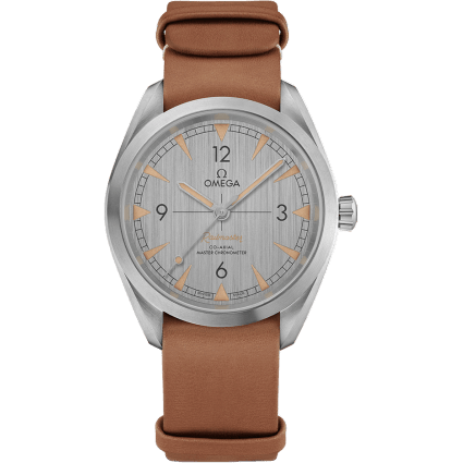 Railmaster Omega Co-Axial Master Chronometer 40 Stainless Steel / Silver / Strap