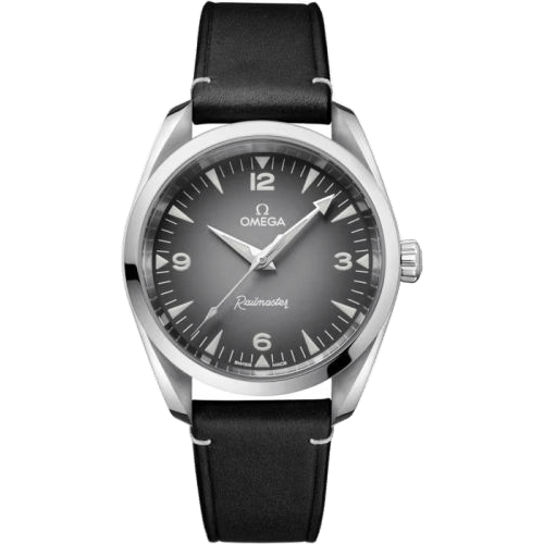 Railmaster Omega Co-Axial Master Chronometer 38 Stainless Steel / Grey Gradient