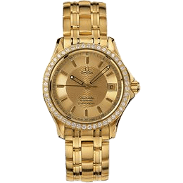 Seamaster 120M Automatic 36.25 Yellow Gold / Diamond / Champagne
