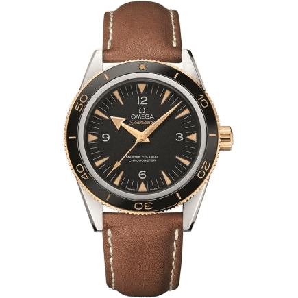 Seamaster 300 Master Co-Axial Steel Stainless Steel / Yellow Gold / Black / Strap