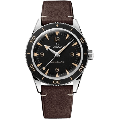 Seamaster 300 Master Chronometer Stainless Steel / Black / Strap
