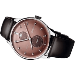 Artelier Complication Stainless Steel / Chestnut