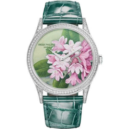 Calatrava 5077 White Gold / Portrait of Flowers