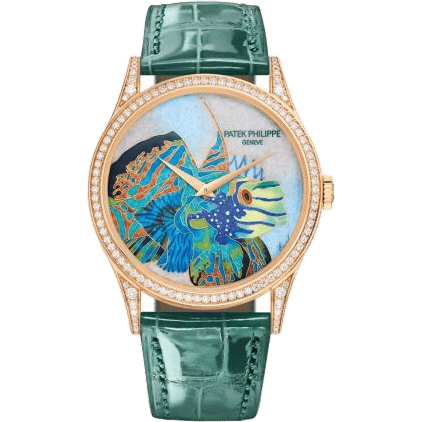 Calatrava 5077R Tropical Fish