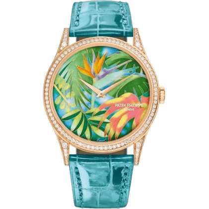 Calatrava 5077R Tropical Plants / Strelitzias