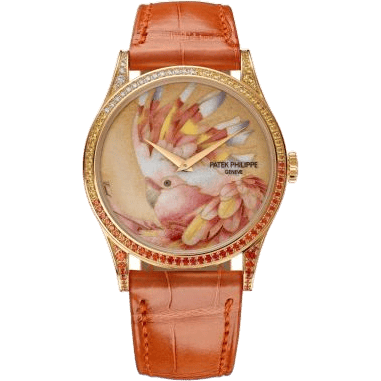 Calatrava 5077 Rose Gold / Leadbeater’s Cockatoo