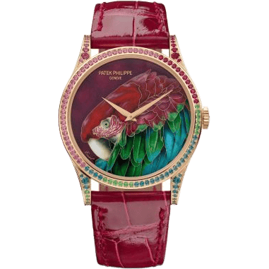 Calatrava 5077 Rose Gold / Green-Winged Macaw