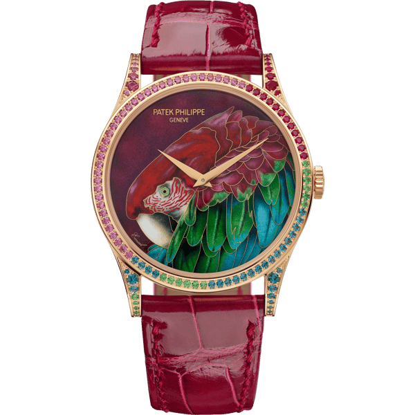 Calatrava 5077 Rose Gold / Green-Winged Macaw