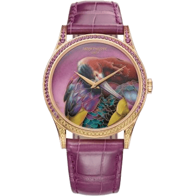 Calatrava 5077 Rose Gold / White-Faced Ibis