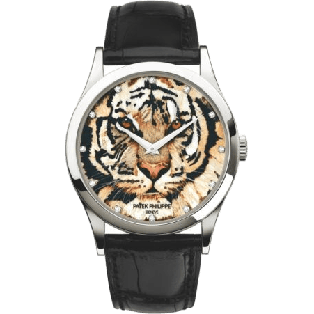 Calatrava 5077 Royal Tigers