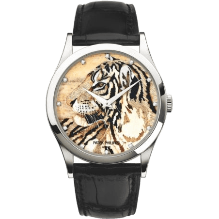 Calatrava 5077 Royal Tigers