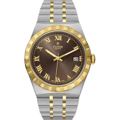 Royal Date 38 Stainless Steel / Yellow Gold / Chocolate - Roman