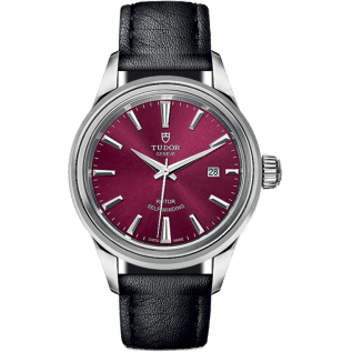Style 28 Stainless Steel / Burgundy / Strap