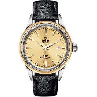 Style 28 Stainless Steel / Yellow Gold / Champagne / Strap