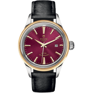 Style 28 Stainless Steel / Yellow Gold / Burgundy / Strap