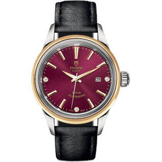 Style 28 Stainless Steel / Yellow Gold / Burgundy-Diamond / Strap